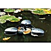 Oase Skimmer SwimSkim 25 (Leistungsaufnahme: 40 W, Fördermenge pro Std.: 2.500 l)
