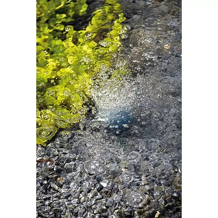 Oase Teichbelüfter AquaOxy 500 - 8 W, Teichgröße: 5 m³ - Sprudelndes Wasser fließt über grüne Wasserpflanzen, Kieselsteine und ein blaues Objekt.