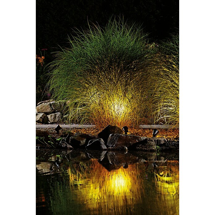 Oase LunAqua Unterwasserstrahler Classic LED3 Stk., 5 W, Mit Trafo Mood Shot