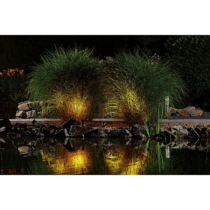 Oase LunAqua Unterwasserstrahler Classic LED1 Stk., 1,3 W, Mit Trafo Mood Shot