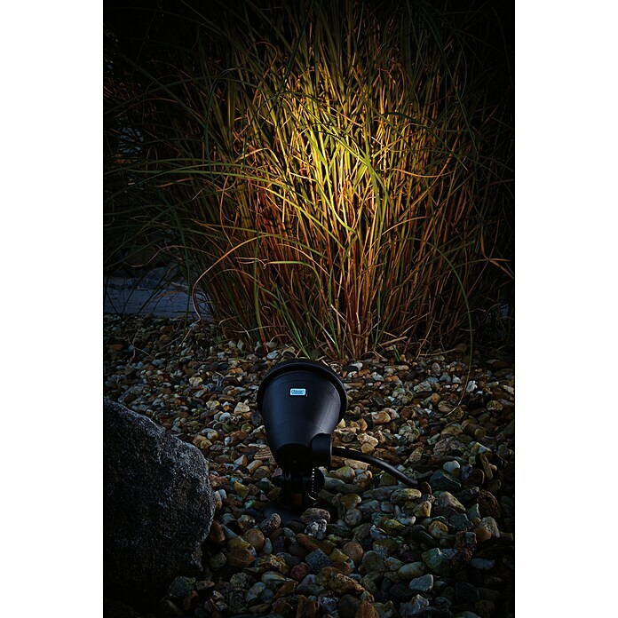 Oase LunAqua Unterwasserstrahler Classic LED3 Stk., 5 W, Mit Trafo Mood Shot