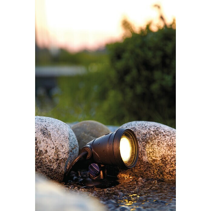 Oase LunAqua Unterwasserstrahler Classic LED1 Stk., 1,3 W, Mit Trafo Mood Shot