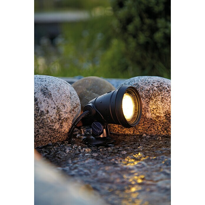 Oase LunAqua Unterwasserstrahler Classic LED3 Stk., 5 W, Mit Trafo Mood Shot