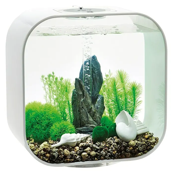 biOrb Deko-Set für Aquarien Stone Garden - 16 -tlg., Grün, Passend für: Aquarien ab 30 l - Ein stilvolles, weiß umrandetes Aquarium mit dekorativen Pflanzen, Steinen und Muscheln, ideal für kleine Fische.