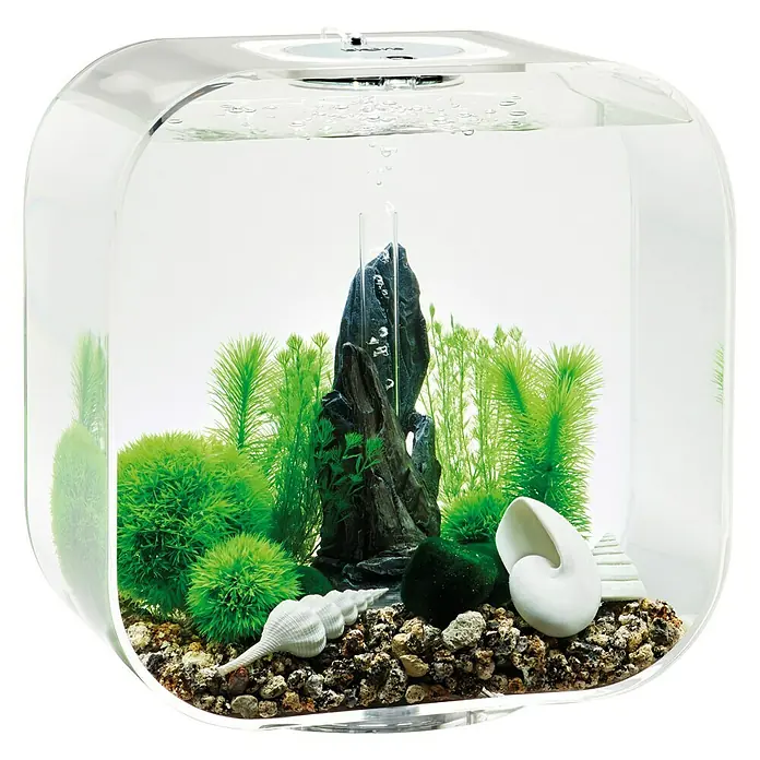 biOrb Deko-Set für Aquarien Stone Garden - 16 -tlg., Grün, Passend für: Aquarien ab 30 l - Nahaufnahme eines stilvollen Aquariums mit Pflanzen, Steinen und dekorativen Muscheln, ideal für die Dekoration.