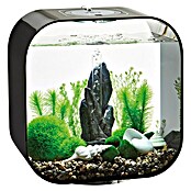 biOrb Deko-Set Stone Garden (16-tlg., Grün, Geeignet für: Aquarien ab 30 l)