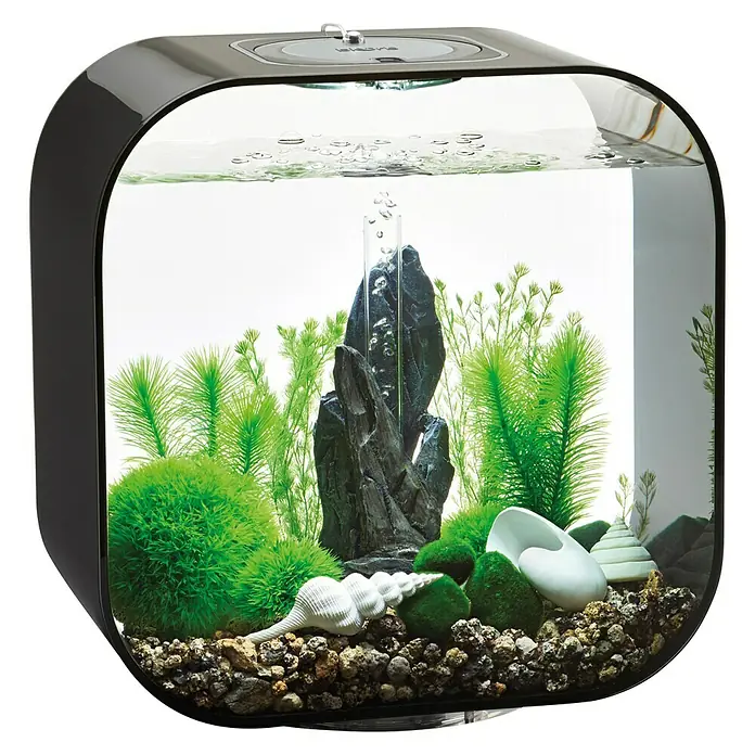 biOrb Deko-Set für Aquarien Stone Garden - 16 -tlg., Grün, Passend für: Aquarien ab 30 l - Nahaufnahme eines stilvollen, modernen Aquariums mit Dekorationen wie Pflanzen, Steinen und Muscheln, beleuchtet von oben.