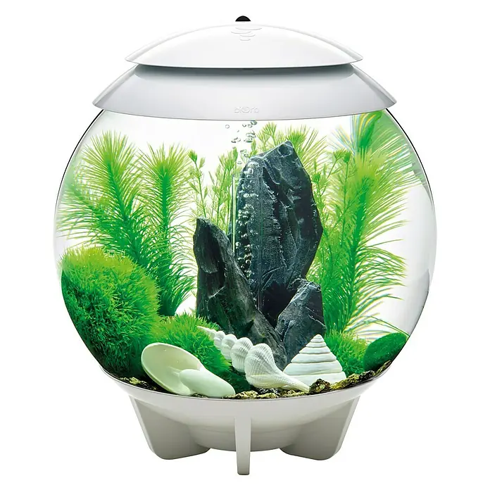 biOrb Deko-Set für Aquarien Stone Garden - 16 -tlg., Grün, Passend für: Aquarien ab 30 l - Nahaufnahme eines runden BioOrb Aquariums mit weißem Sockel, Pflanzen und Dekorationen.