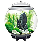 biOrb Deko-Set Stone Garden (16-tlg., Grün, Geeignet für: Aquarien ab 30 l)