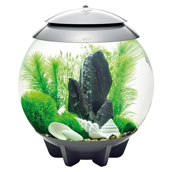 biOrb Deko-Set für Aquarien Stone Garden - 16 -tlg., Grün, Passend für: Aquarien ab 30 l - Elegantes BiOrb-Aquarium mit Pflanzen und dekorativen Elementen. Das runde Design und die hochwertige Verarbeitung machen es zu einem Blickfang.
