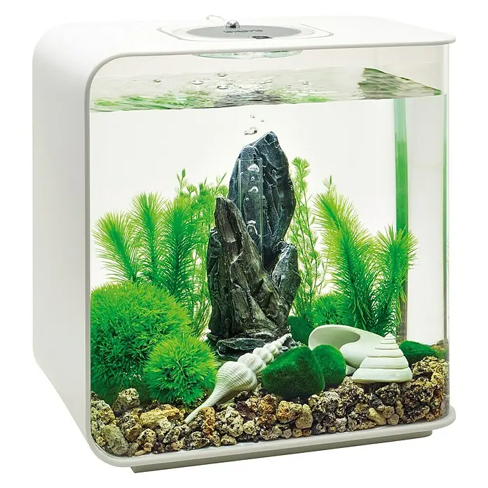 biOrb Deko-Set für Aquarien Stone Garden - 16 -tlg., Grün, Passend für: Aquarien ab 30 l - Das Aquarienbild zeigt ein voll ausgestattetes, modernes Aquarium mit Pflanzen, Steinen und Dekorationen, ideal für kleine Fische.