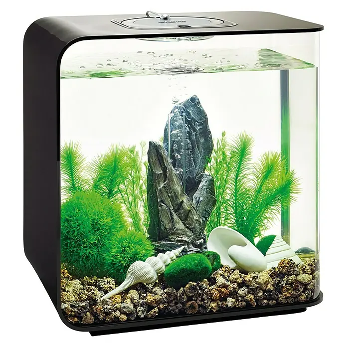 biOrb Deko-Set für Aquarien Stone Garden - 16 -tlg., Grün, Passend für: Aquarien ab 30 l - Ein stilvolles Aquarium mit Dekorationen wie Pflanzen, Steinen und Muscheln, ideal für ein lebendiges Unterwasserambiente.
