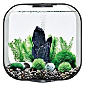 biOrb Deko-Set Stone Garden (16-tlg., Grün, Geeignet für: Aquarien ab 30 l)