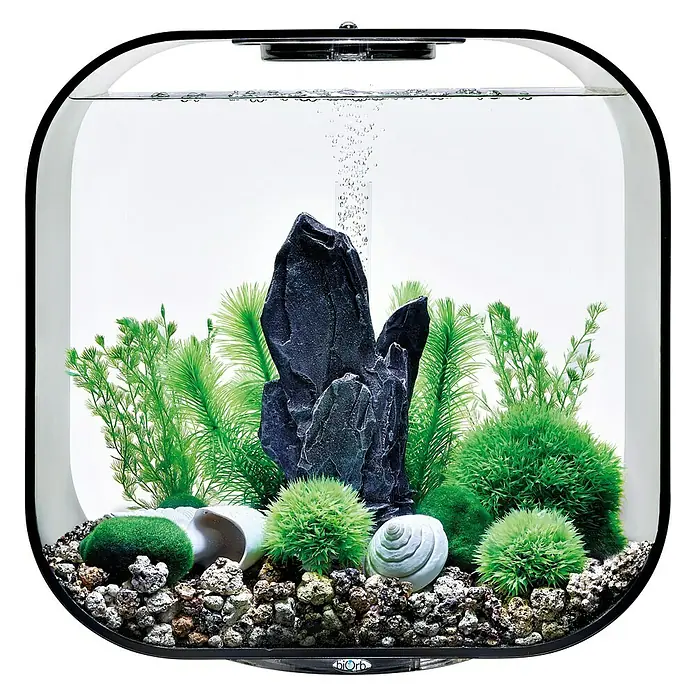 biOrb Deko-Set für Aquarien Stone Garden - 16 -tlg., Grün, Passend für: Aquarien ab 30 l - Nahaufnahme eines BioOrb Aquariums mit Pflanzen und Steinen.