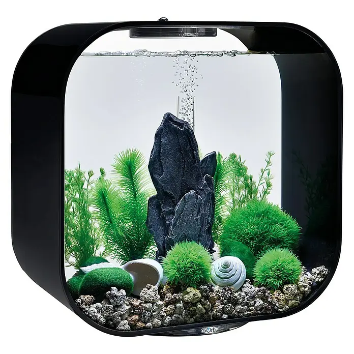 biOrb Deko-Set für Aquarien Stone Garden - 16 -tlg., Grün, Passend für: Aquarien ab 30 l - Das BioOrb Aquarium ist ein stilvolles und modernes Aquarium, das eine perfekte Umgebung für Ihre Fische bietet. Es ist einfach einzurichten und zu pflegen.