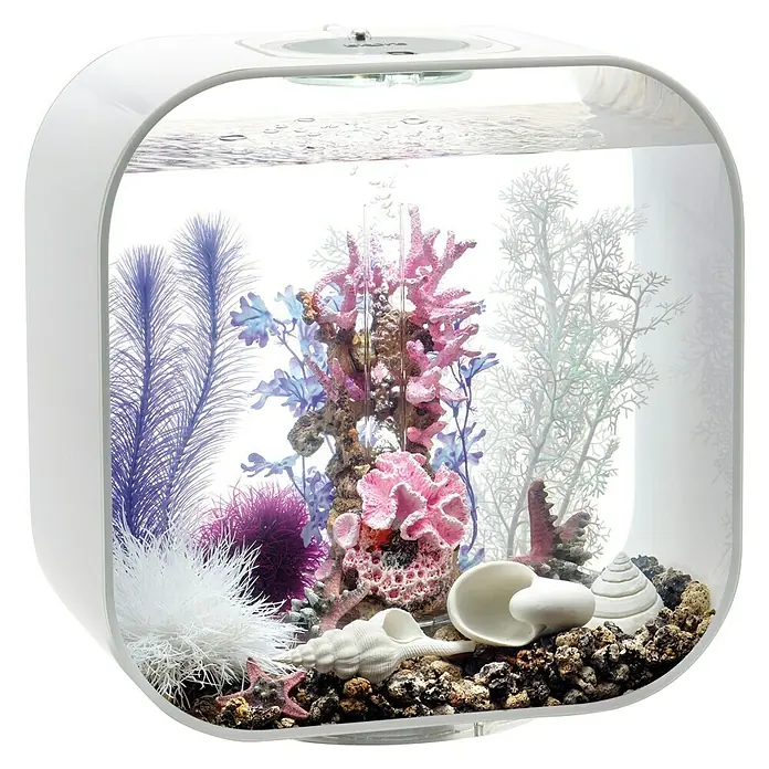 biOrb Deko-Set für Aquarien Pink Ocean - 12 -tlg., Violett/Weiß, Passend für: Aquarien ab 30 l - Nahaufnahme eines Aquariums mit bunten Korallen, Muscheln und Wasserpflanzen, das ein faszinierendes Unterwasserambiente zeigt.