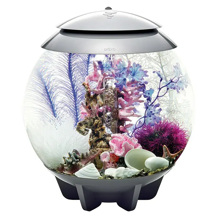 biOrb Deko-Set für Aquarien Pink Ocean - 12 -tlg., Violett/Weiß, Passend für: Aquarien ab 30 l - Nahaufnahme eines BiOrb-Aquariums mit Korallen und Pflanzen. Das Aquarium ist kugelförmig und hat einen grauen Sockel und Deckel.