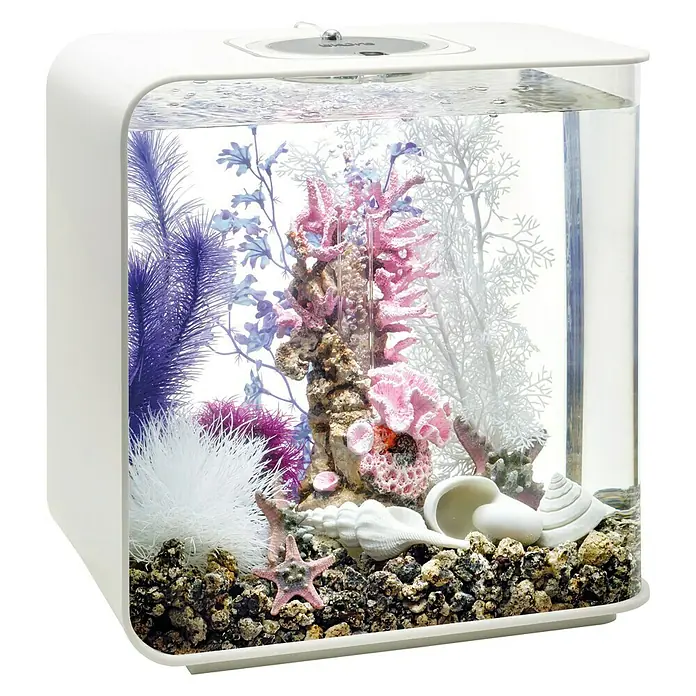 biOrb Deko-Set für Aquarien Pink Ocean - 12 -tlg., Violett/Weiß, Passend für: Aquarien ab 30 l - Nahaufnahme eines Aquariums mit dekorativen Korallen, Muscheln und bunten Pflanzen. Das Aquarium ist in einem modernen, weißen Rahmen gefasst.