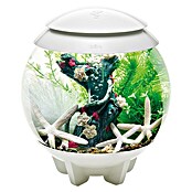 biOrb Deko-Set Flower Garden (8-tlg., Grün/Weiß, Geeignet für: Aquarien ab 15 l)