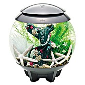 biOrb Deko-Set Flower Garden (8-tlg., Grün/Weiß, Geeignet für: Aquarien ab 15 l)