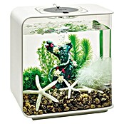 biOrb Deko-Set Flower Garden (8-tlg., Grün/Weiß, Geeignet für: Aquarien ab 15 l)