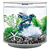 biOrb Deko-Set Flower Garden (8-tlg., Grün/Weiß, Geeignet für: Aquarien ab 15 l)