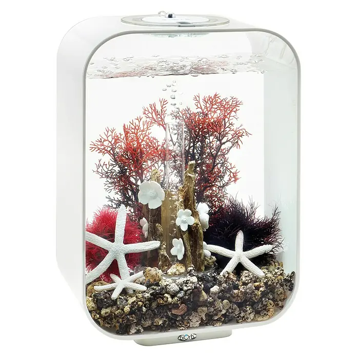 biOrb Deko-Set für Aquarien Red Forest - 8 -tlg., Rot/Weiß, Passend für: Aquarien ab 15 l - Detailaufnahme eines BioOrb Aquariums, dekoriert mit roten Pflanzen, weißen Seesternen und Steinen. Das Aquarium hat eine moderne, abgerundete Form.