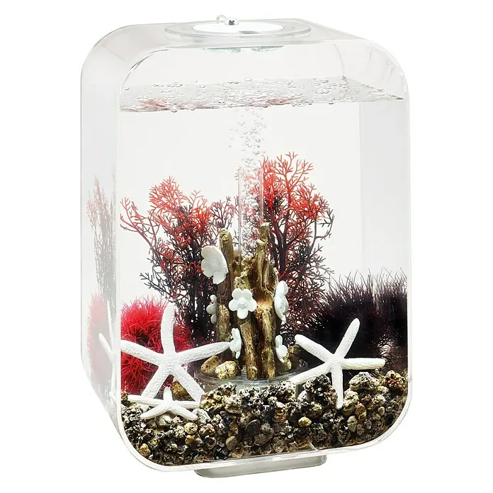 biOrb Deko-Set für Aquarien Red Forest - 8 -tlg., Rot/Weiß, Passend für: Aquarien ab 15 l - Nahaufnahme eines Aquariums mit Dekorationen wie Seesternen, Korallen und Steinen, das eine ruhige Unterwasserlandschaft zeigt.