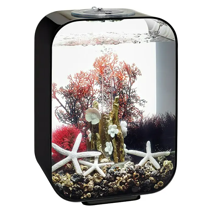 biOrb Deko-Set für Aquarien Red Forest - 8 -tlg., Rot/Weiß, Passend für: Aquarien ab 15 l - Aquarium mit Korallen, Seesternen und Kies. Das Aquarium hat ein modernes Design und eine klare Formgebung.