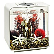 biOrb Deko-Set Red Forest  (8-tlg., Rot/Weiß, Geeignet für: Aquarien ab 15 l)