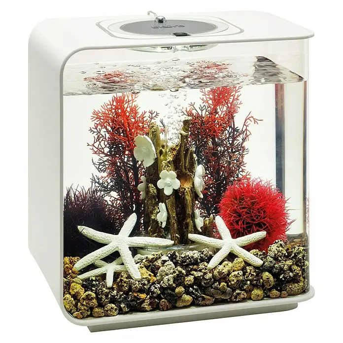 biOrb Deko-Set für Aquarien Red Forest - 8 -tlg., Rot/Weiß, Passend für: Aquarien ab 15 l - Nahaufnahme eines stilvollen Aquariums mit Dekor, das eine ruhige Unterwasseratmosphäre für Zuhause schafft.