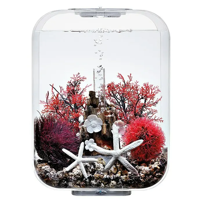 biOrb Deko-Set für Aquarien Red Forest - 8 -tlg., Rot/Weiß, Passend für: Aquarien ab 15 l - Aquarium mit roter und lila Dekoration und Seesternen.