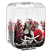 biOrb Deko-Set Red Forest  (8-tlg., Rot/Weiß, Geeignet für: Aquarien ab 15 l)