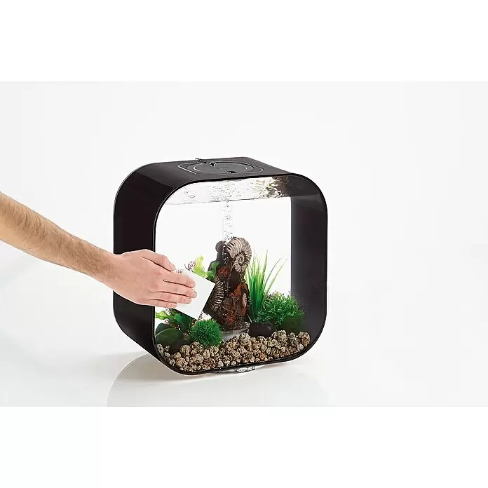 biOrb Aquarien Service-Kit - 10 -tlg., Passend für: biOrb Aquarien - Schwarzes, gebogenes Aquarium, das von einer Hand mit einem weißen Pad gereinigt wird, mit Innendekoration und Wasser.