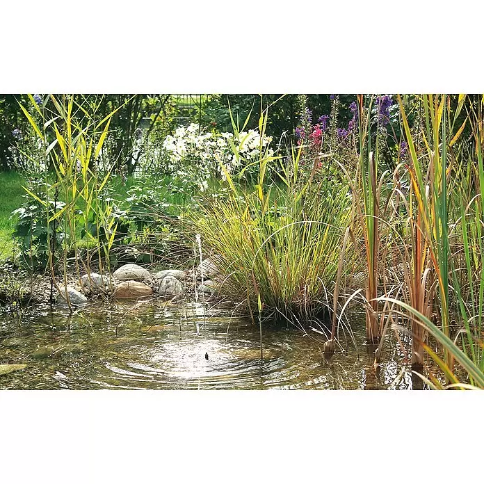 Solar-Wasserspielpumpe Pondo Solar 150 - Fördermenge pro Std.: 150 l - Ein idyllischer Gartenteich mit kleinem Springbrunnen, umgeben von grünen und braunen Wasserpflanzen und bunten Blumen im Hintergrund.