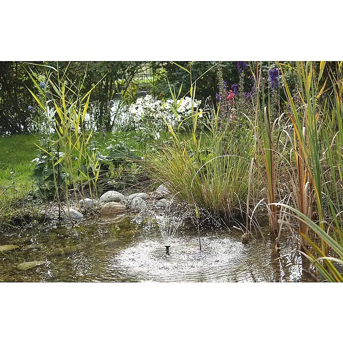 Solar-Wasserspielpumpe Pondo Solar 150 - Fördermenge pro Std.: 150 l - Ein kleiner Springbrunnen sprüht Wasser in einem ruhigen Gartenteich, umgeben von grünen Pflanzen und Ziersteinen.