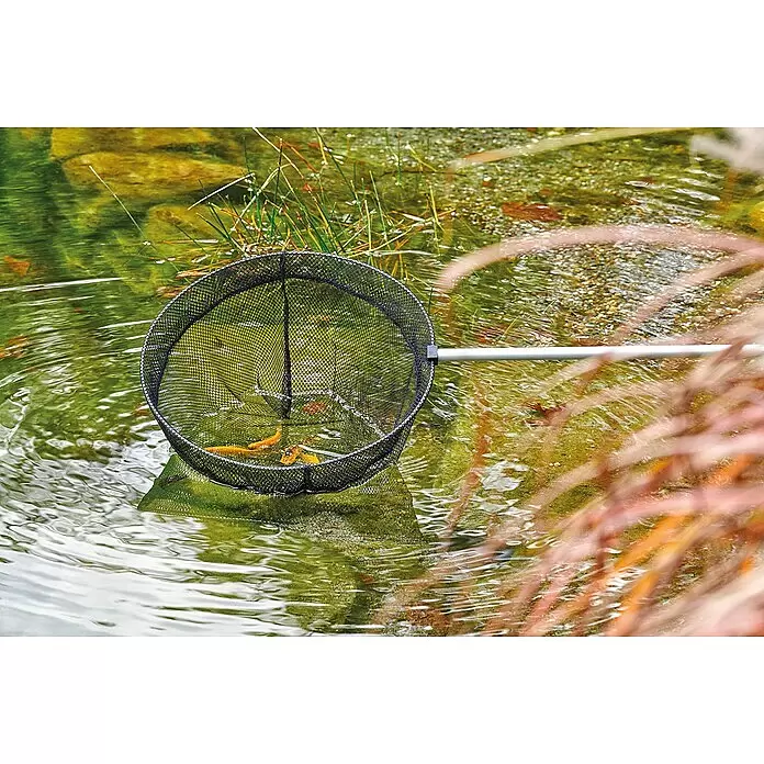 Oase Fischkescher - Durchmesser: 38 cm, Maschenweite: 9 mm - Anwendungsbeispiel