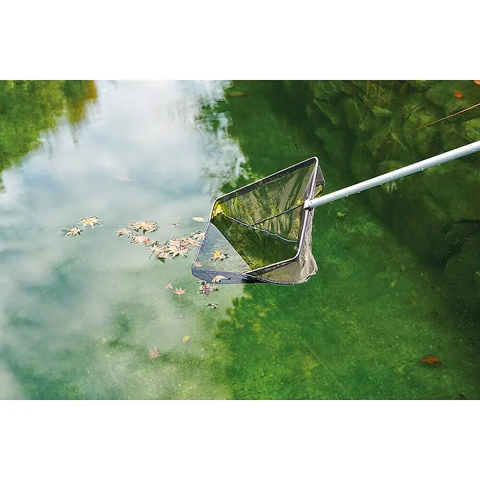 Oase Teichkescher - Aluminium, 38 x 26 cm - Laubkescher im Einsatz, um gefallenes Laub aus einem Teich oder Pool zu entfernen. Das Netz ist teilweise mit Wasser und Blättern gefüllt.