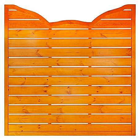 Andrewex Sichtschutzelement Calais 1 (180 x 180 cm, Mit Bogen, Pinie)