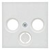 Gira System 55 Antennedoos-afdekraam Radio/TV 