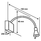 Paulmann Galeria Aplique LED para cuadros (5 W, Blanco cálido, 29 x 19 cm, Blanco)
