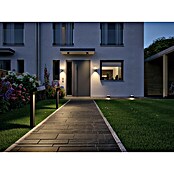 Paulmann Plug & Shine LED-Außenleuchte (6 W, Warmweiß, IP67, Ø x H: 19,3 cm x 15,5 mm)