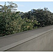 Mauerabdeckplatte Satteldach (Grau/Anthrazit, 50 x 30 cm, Beton)