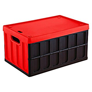 Aufbewahrungsbox Cargo Klappbox (L x B x H: 390 x 595 x 315 mm, Kunststoff, Schwarz)