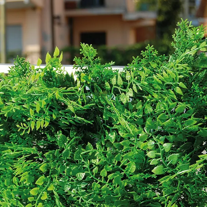 Jardín vertical Helecho - Plástico, L x An: 100 x 50 cm - Primer plano de una esterilla de seto artificial con hojas verdes realistas, perfecta para pantallas de privacidad y decoración en espacios interiores y exteriores.