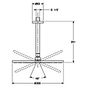 Hansa Viva Kopfbrausen-Set (Durchmesser: 30 cm, 12 l/min, Deckenmontage, Chrom) | BAUHAUS