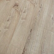 LOGOCLIC Vinto Laminat Eiche Venetia (1.285 x 192 x 8 mm, Landhausdiele)