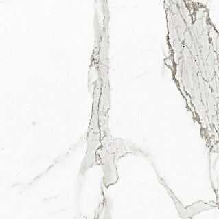 Pavimento cerámico Palatina (45 x 45 cm, Blanco Carrara, Brillante)