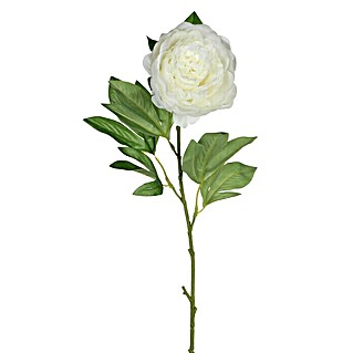 Flor artificial Peonía (Blanca, Altura: 76 cm, Plástico)