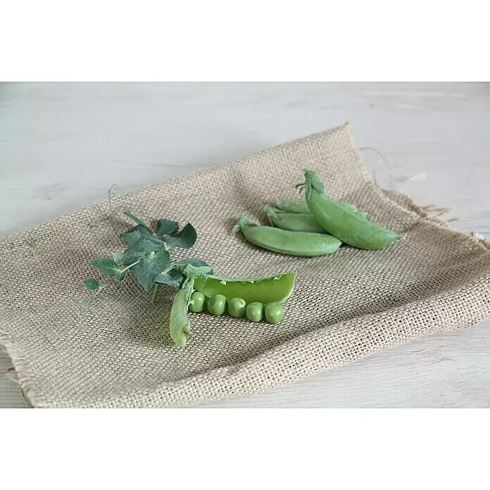 Piardino Erbsenpflanze - Pisum sativum, Topfgröße: 12 cm - Stimmungsaufnahme